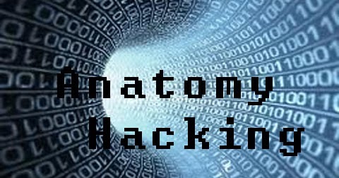 Pengertian Anatomy of Hacking / Struktur Hacking