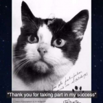Mengenang Felicette Kucing Pertama yang Pergi ke Luar Angkasa