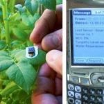 Alat Baru yang Dapat Membuat Tanaman Berbicara