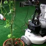 Robot Menjadi ‘Tukang Kebun’
