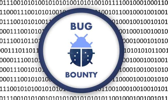 Apa itu Bug Bounty ?