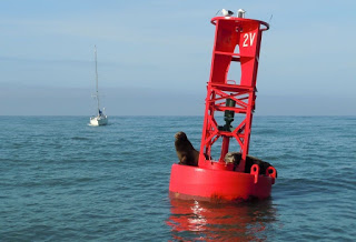 Mengenal Pengertian Mooring Buoy