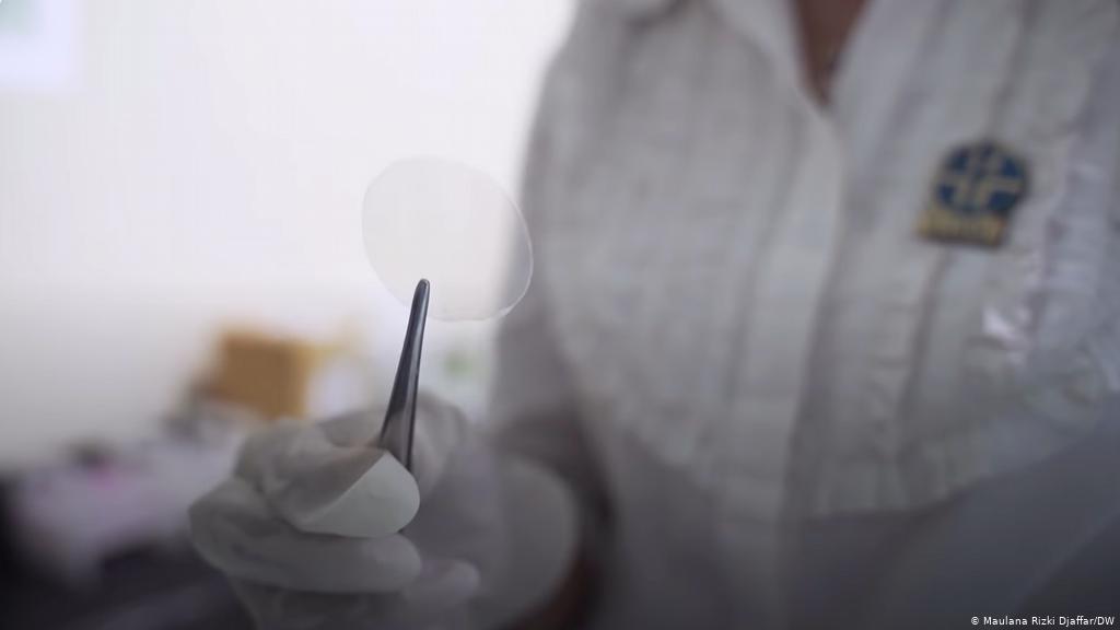 Ternyata Limbah Kelapa Sawit Kini Bisa Diubah Jadi Layar Anti Retak