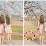 Begini Cara Menghilangkan Objek Foto yang Mengganggu?