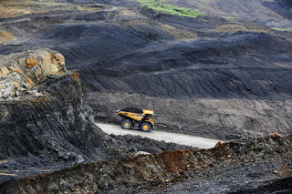 BATU BARA: Pengertian, Manfaat, Penyebab Kelangkaan, dan Cara Melestarikannya