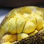 Ternyata Charger Ponsel bisa Menggunakan Kulit Durian dan Nangka Lho?