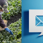 Tanaman Bayam Ini Bisa Kirim Email, Keren Banget!