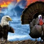Kisah Inspiratif Elang dan Kalkun, Pentingnya Bekerja Keras Dalam Hidup