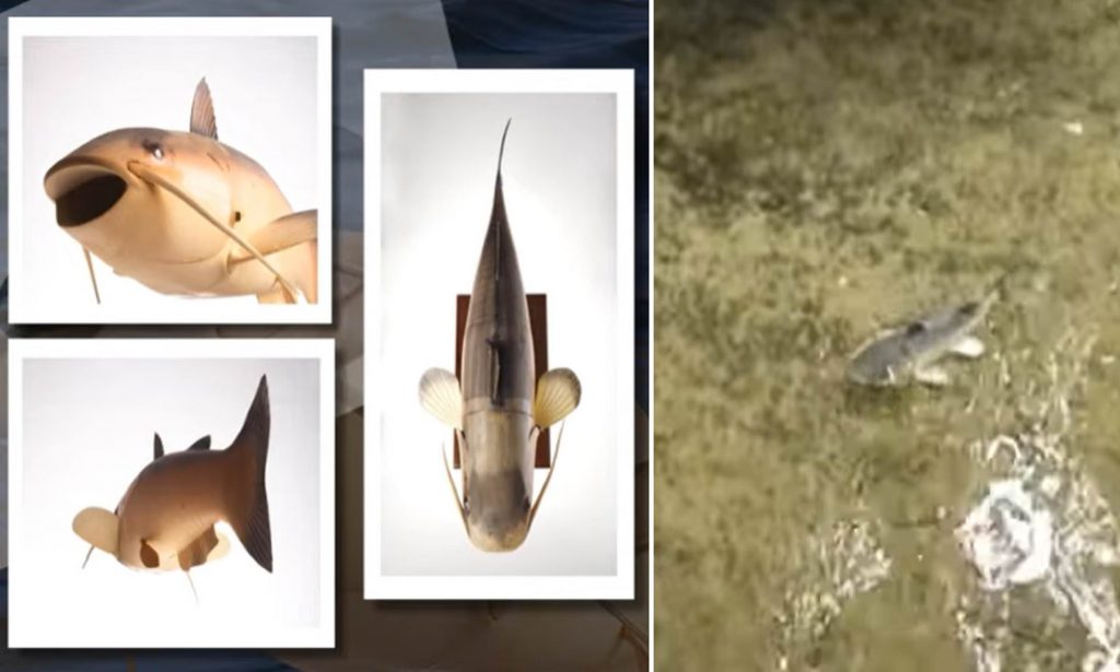 Yang Hobi Mancing! Hati-hati Nyangkut Robot Lele CIA