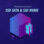 Memahami Perbedaan SSD SATA dan SSD NVME