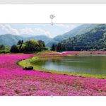 Cara Membuat Gambar Menjadi Transparan di Ms. Word