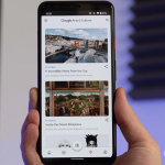 Kini Google Art Tambahkan “Selfie Hewan” di Update Terbarunya