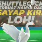 Benarkah! Shuttlecock Terbuat Dari Sayap Kiri Angsa?