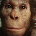 Australopithecus sediba, ‘Berjalan Seperti Manusia, Tapi Memanjat Seperti Kera’