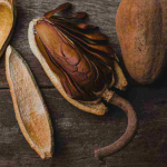 Kenali 11 Manfaat Biji Mahoni dan Efek Sampingnya